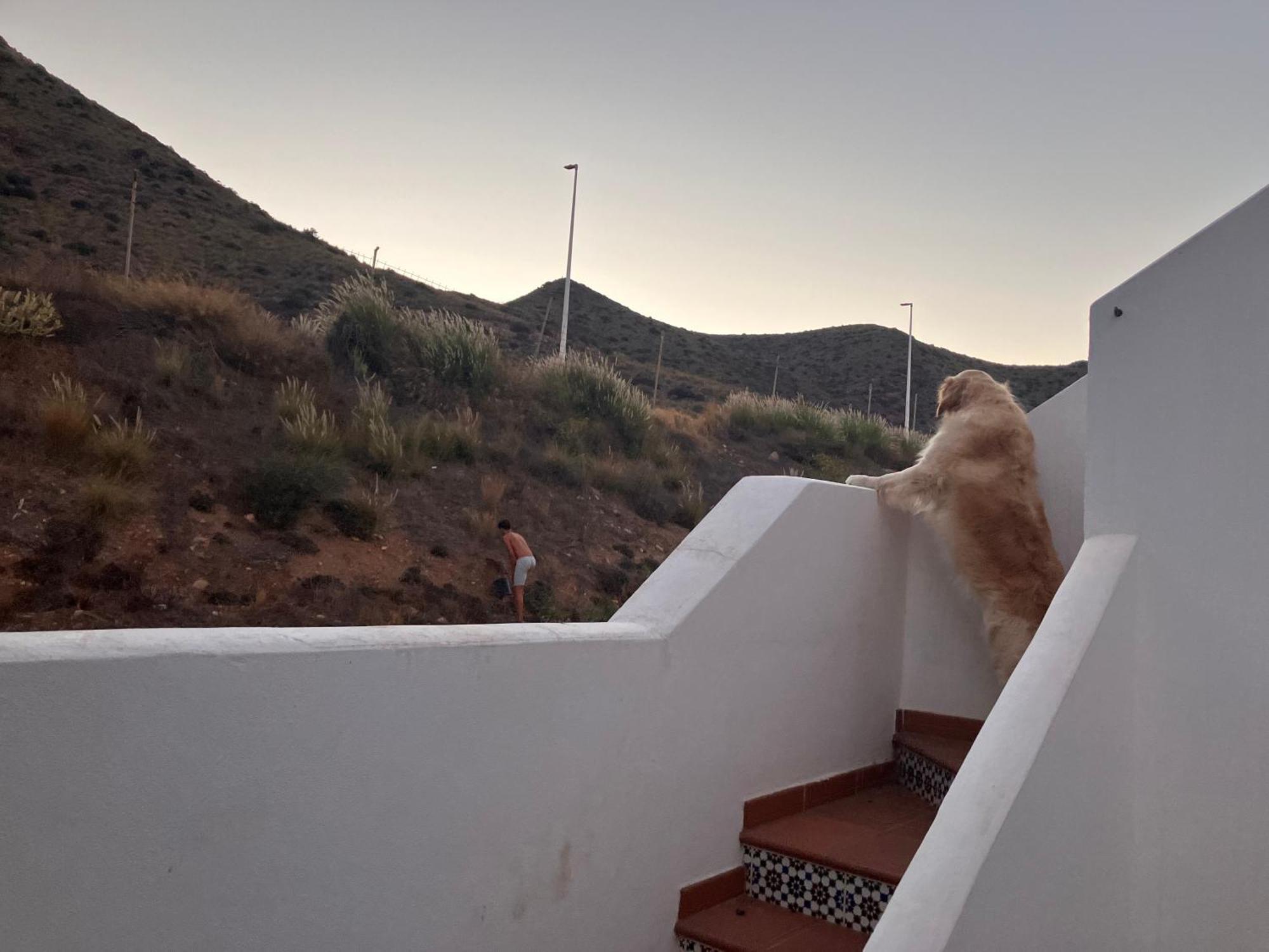 فيلا Agua 41 سان خوسيه المظهر الخارجي الصورة